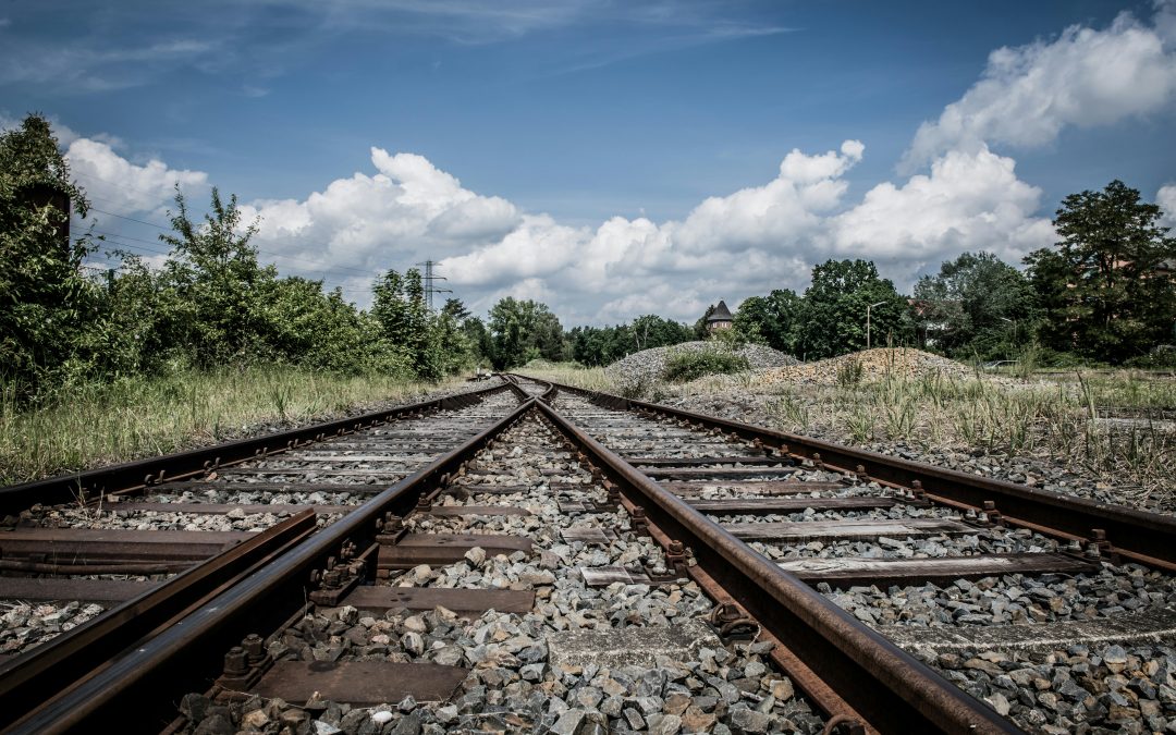 Bilingualism and Scholarly Publishing in Canada